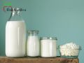 Миф о кальции: почему обезжиренные молочные продукты не стоит исключать из рациона
