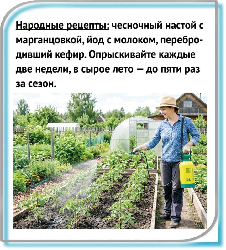 Как бороться с «пожирателем растений»? Как бороться с «пожирателем растений»?
