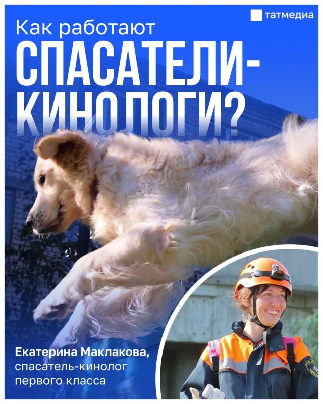 Женщина-спасатель: Если собака под завалами никого не нашла, это тоже результат
