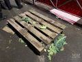 «Народная инвентаризация»: помогите выявить незаконные ларьки в Казани