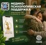 Сервис психологической поддержки участников СВО и их семей заработал во «ВКонтакте»