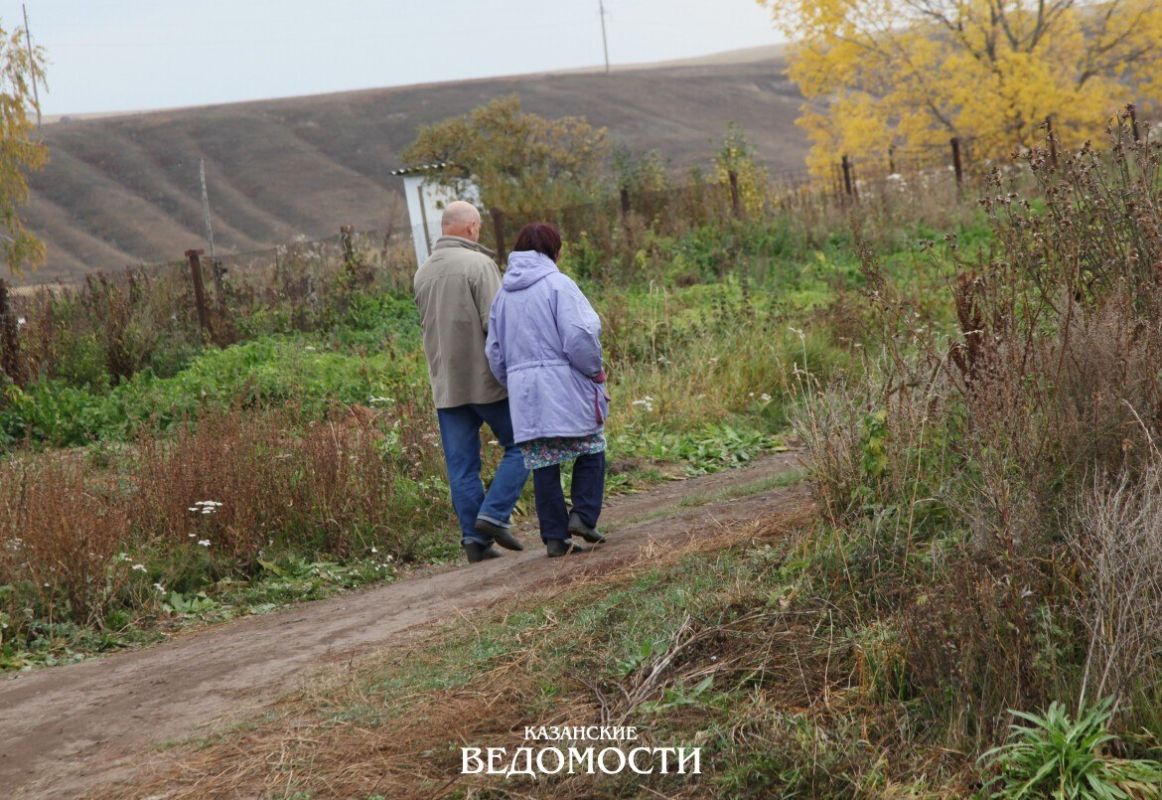 Голубь да голубка. История одной любви из нашего села