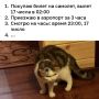 Улететь на некоторые российские курорты из Казани становится дороже