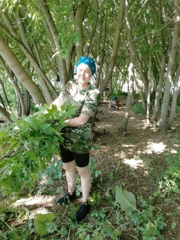 Тропа здоровья в Камских Полянах стала еще чище (тут смайлик ветки или листочка) Тропа здоровья в Камских Полянах стала еще чище (тут смайлик ветки или листочка)