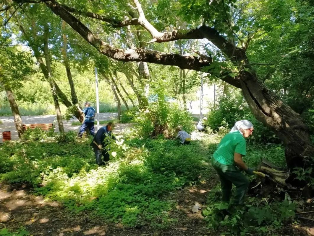 Тропа здоровья в Камских Полянах стала еще чище (тут смайлик ветки или листочка) Тропа здоровья в Камских Полянах стала еще чище (тут смайлик ветки или листочка)