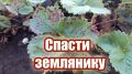 ��������� ����� ����������� ���������: ������� ���������