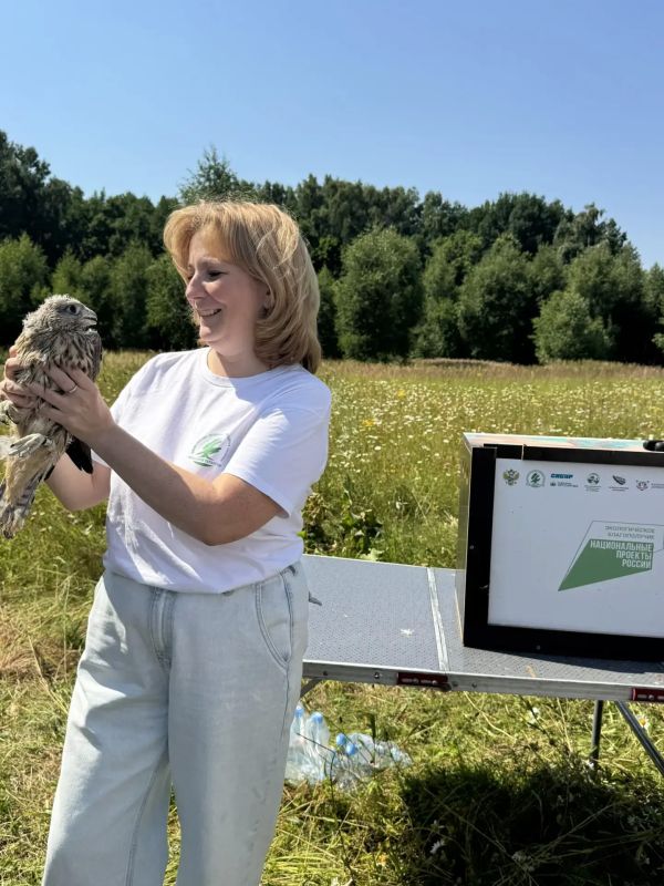 В Татарстане продолжается программа по восстановлению популяции краснокнижного сокола-балобана В Татарстане продолжается программа по восстановлению популяции краснокнижного сокола-балобана