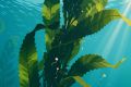������� ���� ������������: ��� ������������ �������������� ������� ������