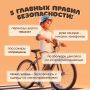 Лето — сезон активных прогулок