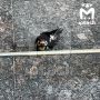Ветеринары и орнитологи закончились в татарском комитете по биоресурсам — казанец с утра пытается спасти раненого дятла своими силами