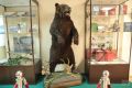 В двух районах Татарстана после многолетнего перерыва разрешили охоту на медведя