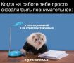 Не спешите с увольнением — такой совет дал эксперт россиянам, которые хотят уйти с работы в ближайшее время
