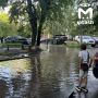 ����� ������ ������� ����� �� �������
