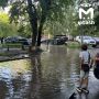 ����� ������ ������� ����� �� �������