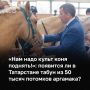 В Татарстане разработали проект программы развития коневодства до 2032 года