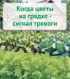 Когда цветы на грядке — сигнал тревоги