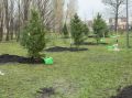 В парках и скверах Казани высадили более 1,2 тыс