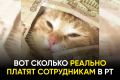 За год число вакансий сократилось, а количество резюме только увеличивается