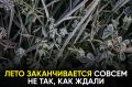 Когда в Татарстан придут первые заморозки?