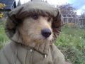 В Татарстане в ближайшие дни сохранится теплая осенняя погода
