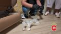 Килограмм мефедрона нашли в рюкзаке у женщины в пригороде Казани