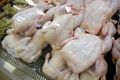 Сальмонеллу нашли в продукции «Ставропольского бройлера»