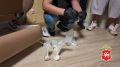 Первоначально в рамках проверки оперативной информации наркополицейские в одном из лесных массивов в пригороде Казани задержали 39-летнюю безработную
