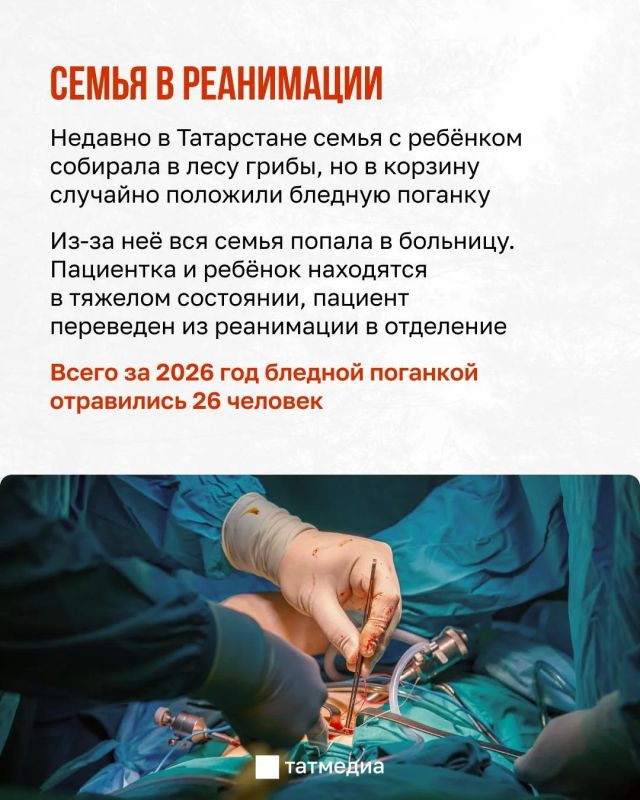 30 мг яда бледной поганки достаточно, чтобы убить взрослого человека 30 мг яда бледной поганки достаточно, чтобы убить взрослого человека