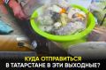 Фестивали, гастрономические праздники, концерты и соревнования пройдут сразу в нескольких городах и районах: