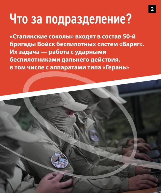 В Татарстане идет набор в элитное подразделение «Сталинские соколы» Войск беспилотных систем В Татарстане идет набор в элитное подразделение «Сталинские соколы» Войск беспилотных систем