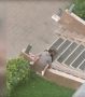 ������, ����� � ������ ���: ������ ������ ������� ������