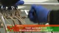 В Казани обсудили, как помочь осуждённым вернуться к нормальной жизни