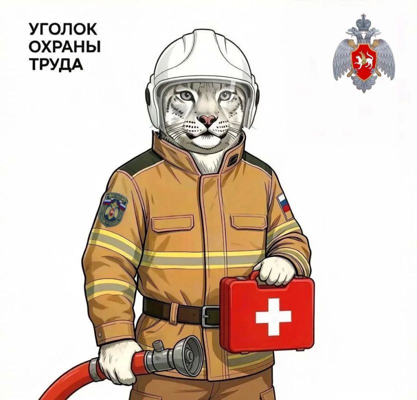 Стартует постоянная рубрика «Уголок охраны труда» Сегодня расскажем об аптечке