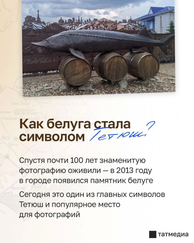 6 метров и 960 кг: как в Тетюшах поймали легендарную белугу 6 метров и 960 кг: как в Тетюшах поймали легендарную белугу