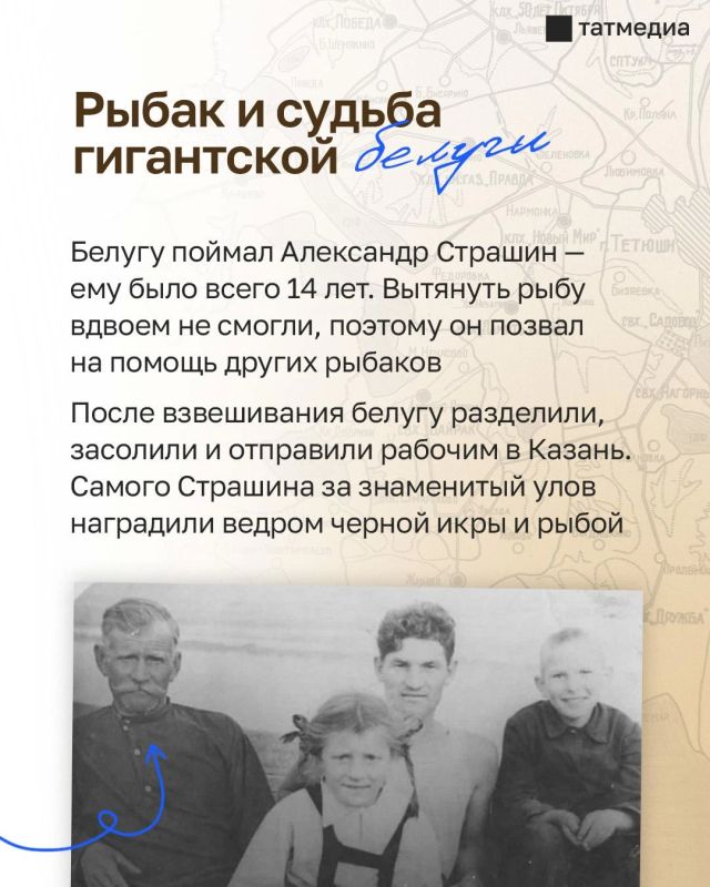 6 метров и 960 кг: как в Тетюшах поймали легендарную белугу 6 метров и 960 кг: как в Тетюшах поймали легендарную белугу