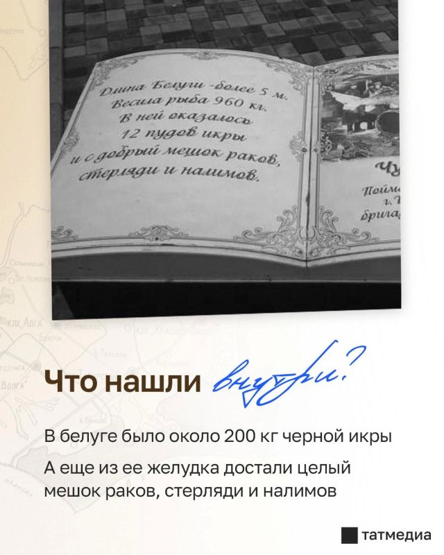 6 метров и 960 кг: как в Тетюшах поймали легендарную белугу 6 метров и 960 кг: как в Тетюшах поймали легендарную белугу