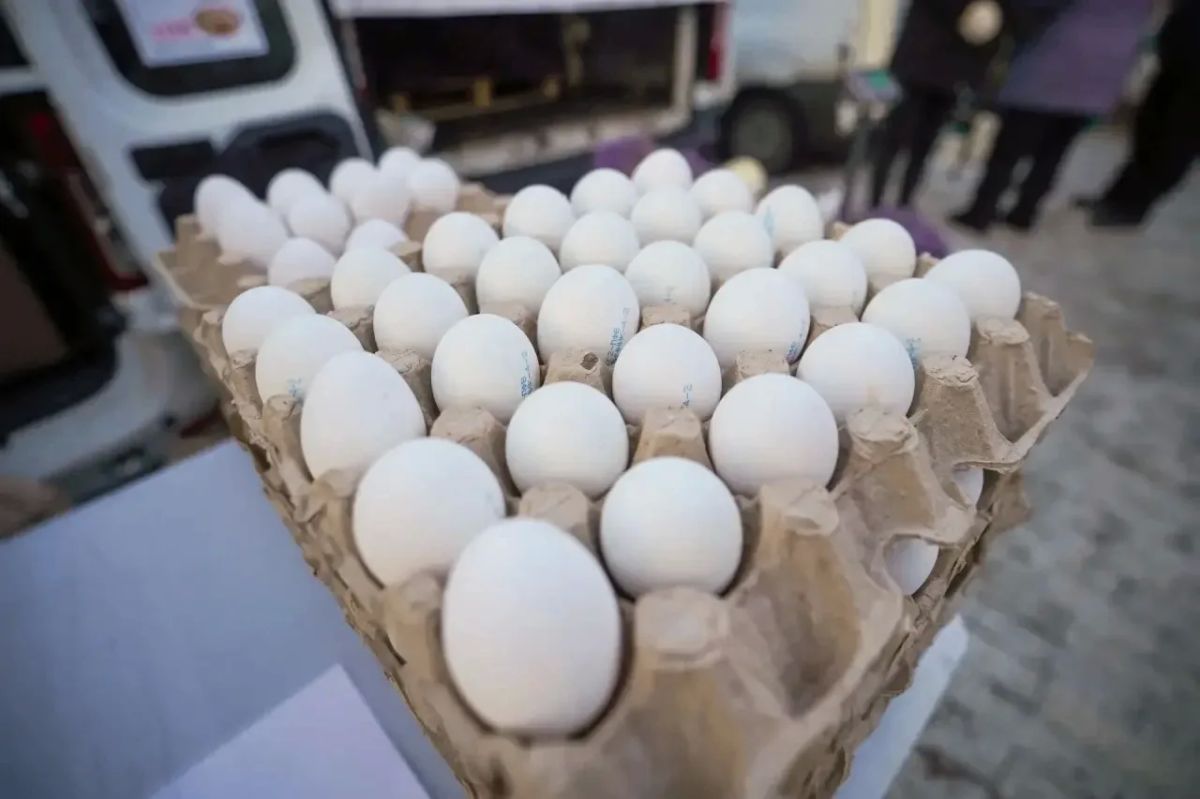 Первая ярмарочная неделя: продукции реализовано на 106,5 млн рублей Первая ярмарочная неделя: продукции реализовано на 106,5 млн рублей