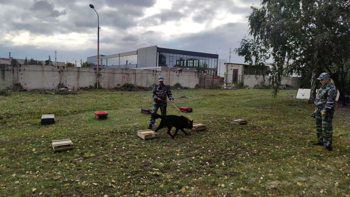 В Центре кинологической службы УМВД России по г. Набережные Челны побывали подопечные Комплексного центра социального обслуживания населения «Доверие» В Центре кинологической службы УМВД России по г. Набережные Челны побывали подопечные Комплексного центра социального обслуживания населения «Доверие»