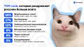 Какие слова больше всего раздражают россиян?