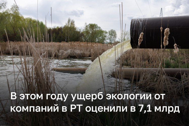 Ущерб экологии от компаний в РТ оценили в 7,1 миллиарда