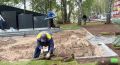� ����������� ������������ �������� ���������� � �������� ��������� ���������� ���