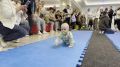 � ���� ��������� ���������� ������ ����� ����� ����� ����������� � �������� ��������� ������ �����