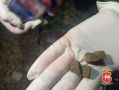 В Казани полицейские изъяли наркотическое средство в ходе проведения операции «Мак»