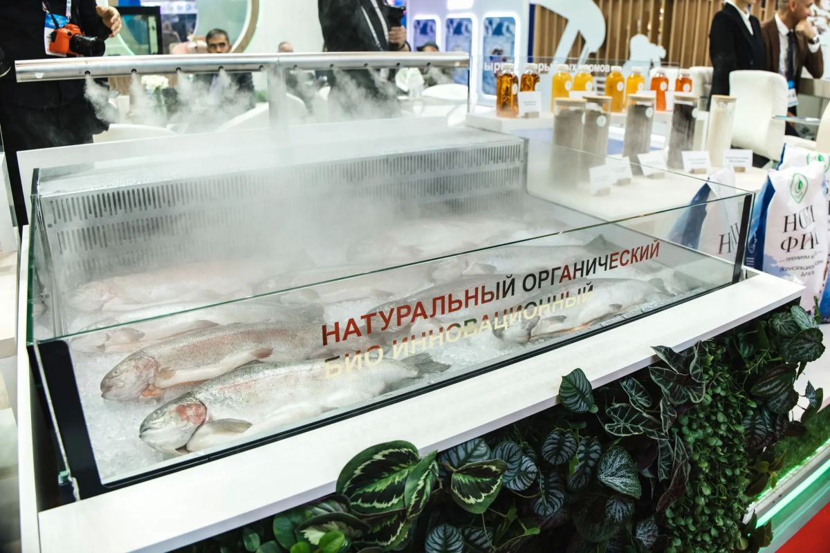 Международный рыбопромышленный форум — 2026: компании со всей страны показали производственный потенциал российской рыбной отрасли Международный рыбопромышленный форум — 2026: компании со всей страны показали производственный потенциал российской рыбной отрасли