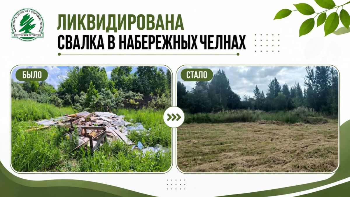 По предписанию экологов в Набережных Челнах ликвидировали свалку