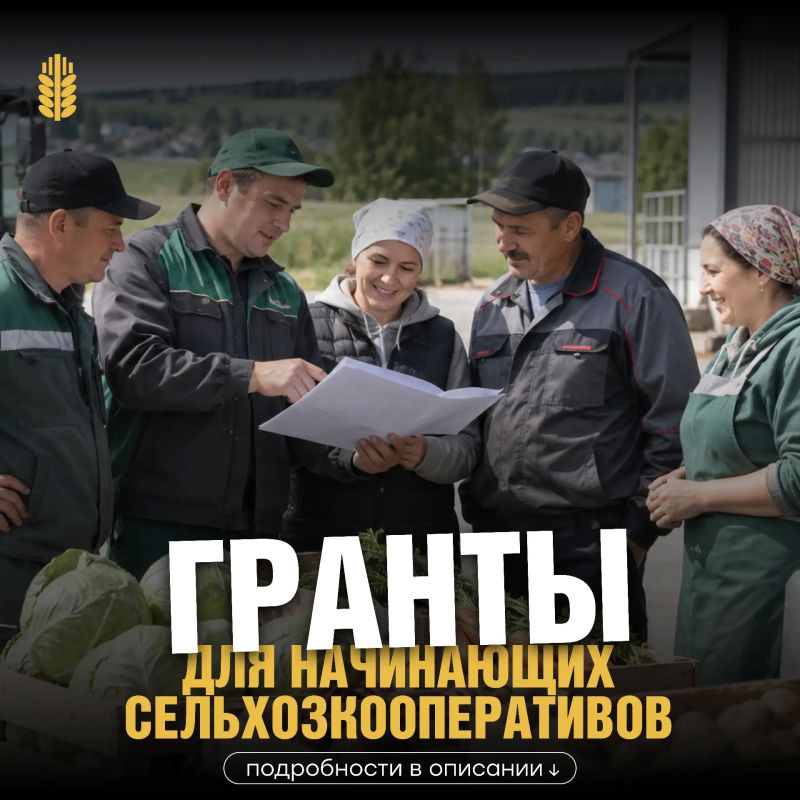 Начинающие сельхозкооперативы Татарстана могут получить грант на развитие