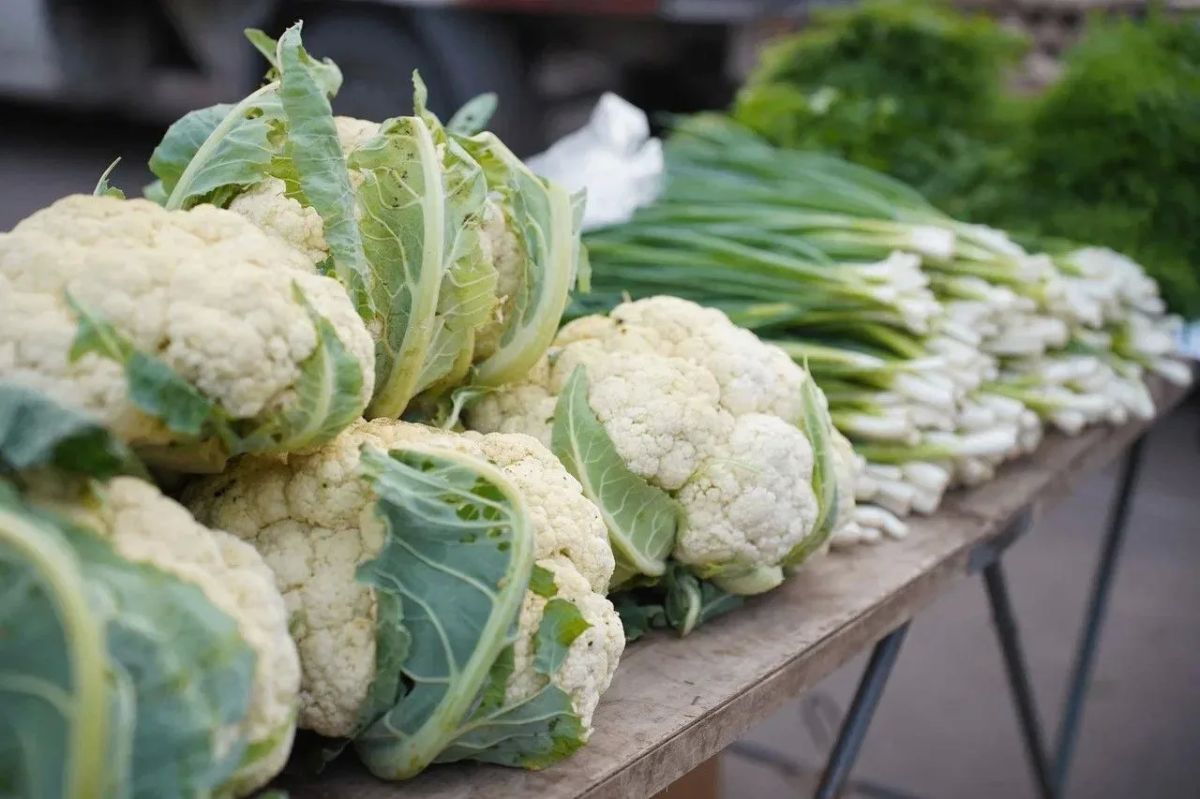 Свежая продукция напрямую от производителей Свежая продукция напрямую от производителей