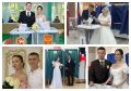 � ���������� ������������ ����������� �� ������� ��������� ��������������� ���� ������