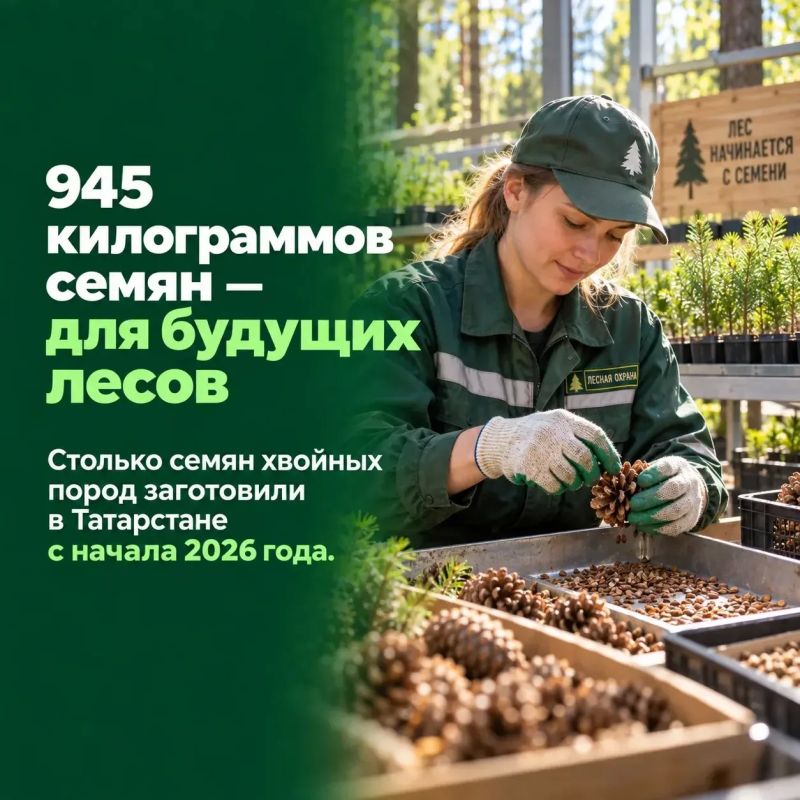 Сегодня — День работников леса! Сегодня — День работников леса!