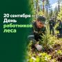 Сегодня — День работников леса!